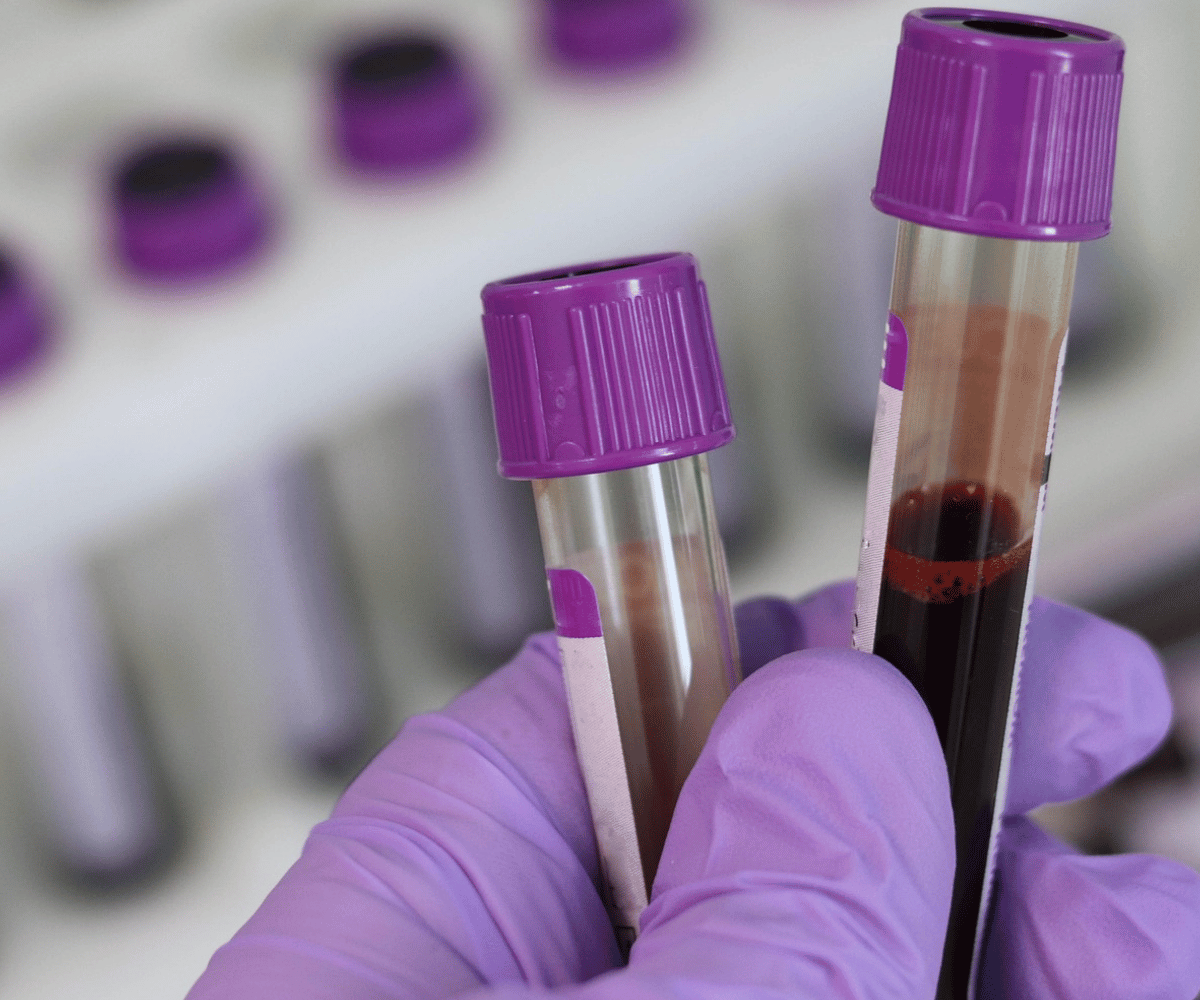 medisis anasayfa photo 2